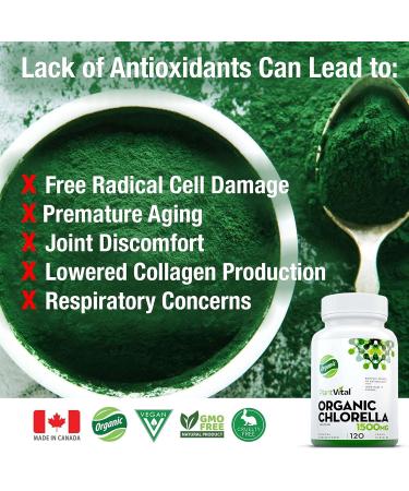 PlantVital Chlorella Capsules- Antioxidant Chlorophyll Capsules - Organic Chlorella Powder 1500mg per day - Broken Cell Wall Algae Supplement-Vegan Superfood - Non-GMO - 2 Month Supply - 120 Capsules 120 count (Pack of 1) - Buy Online on GoSupps.com