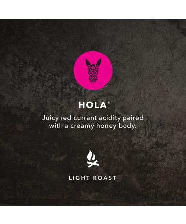 Kicking Horse Coffee Hola - Organic Fairtrade Light Roast, Ground 10 oz | Kosher Certified - Buy Online on GoSupps.com