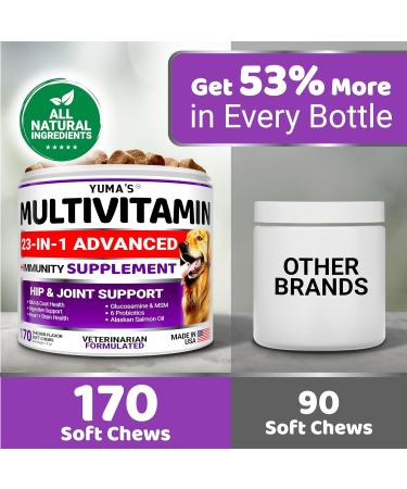 Dog Multivitamin Chewable with Glucosamine - 23 in 1 - Dog Vitamins and Supplements - 170 Chews - Senior & Puppy Multivitamin for Dogs - Hip & Joint Support - Immune Health Skin Digestion Chicken 170 Soft Chews - Buy Online on GoSupps.com