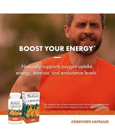 Host Defense Bundle with MycoBotanicals Brain* Capsules 60 Count & Cordyceps Capsules 60 Count - Support Memory & Focus - Support Immune Health & Energy* - Buy Online on GoSupps.com