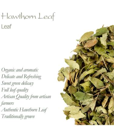 Hawthorn Leaf Organic Flower Tea - High Food Grade 100g (Pack of 1) - Hawthorne Leaves and Flowers - Buy Online on GoSupps.com