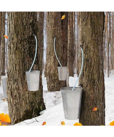 Maple Syrup Tapping Kit 6PCS Maple Syrup Taps and Tube Maple Syrup Supplies for Home Maple Syrup Making - Buy Online on GoSupps.com