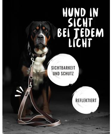 Rudelknig Dog Leash Paola 2.30m - Adjustable Reflective Leash for Medium & Large Dogs - Stylish Rose Color - Buy Online on GoSupps.com