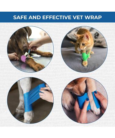 BANDVET WRAP Self Adhesive Bandage Wrap - 12 Assorted Colors, Non-Woven, Breathable & Water-Resistant - 2 x 5 Yards for First Aid, Sports Injury, Body Sprains & Pets - Buy Online on GoSupps.com