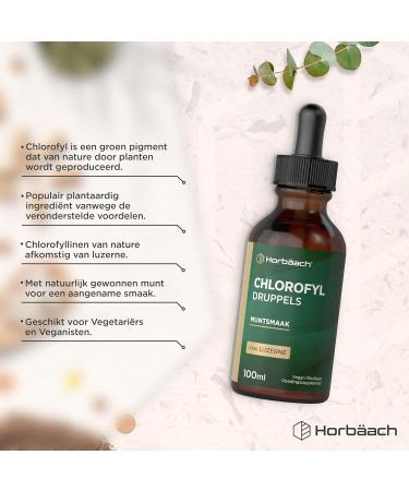 Horbaach Chlorophyll Liquid Drops 100ml Chlorophyll Drops Liquid Chlorophyll from Alfalfa 100 Days Delivery Vegan Horbach - Buy Online on GoSupps.com