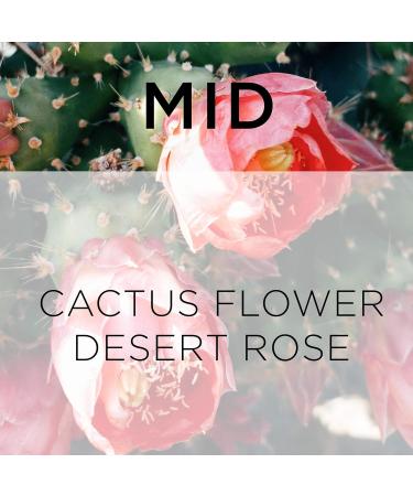 Forever 21 Pink Aura Eau de Parfum 3.4 fl. oz. for Her - Buy Online on GoSupps.com