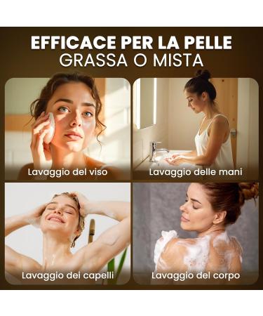  BIO JALAL Set of 2 Aleppo Soap 5% Laurel Oil 95% Olive Oil Hand Soap Face Body and Hair 400 g Handmade in Turkey - Buy Online on GoSupps.com