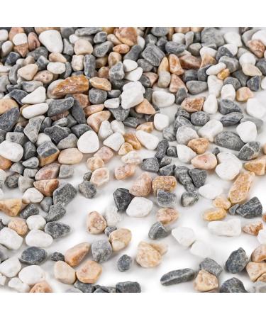 VGOODALL 900g Gravel Pebbles Mixed Colour 2LB Natural Decorative Pebbles Succulents for Vases Plants Rocks Aquarium Gravel Top Dressing Outdoor Decorative Rocks Grey