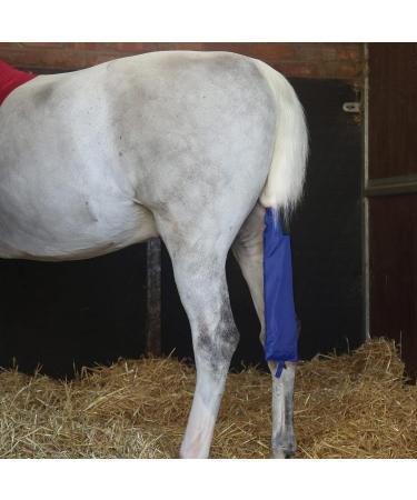 Cottage Craft Blue Tail Bag for Horses (One Size) - Buy Online on GoSupps.com