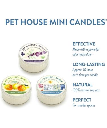 One Fur All Pet House Mini Candle Set - Top 3 Pet Odor Eliminator Candles - Buy Online on GoSupps.com