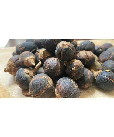 GORONTULA Fruit Azanza Garckeana Organic Sweet Silky Snot Apple Kayamata Various Sizes 30 Pieces - Buy Online on GoSupps.com