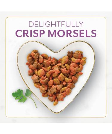 Fancy Feast Purina Dry Cat Food with Savory Chicken & Turkey - 3 lb Bag - Buy Online on GoSupps.com