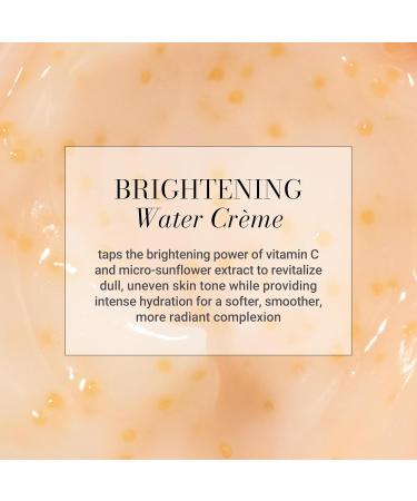 Meaningful Beauty Vitamin C Overnight Brightening Water Creme with Activated Hydraspheres 1 Fl Oz (Pack of 1) - Buy Online on GoSupps.com