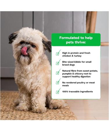 Open Farm Ancient Grains Dry Dog Food Humanely Raised Meat Recipe with Wholesome Grains and No Artificial Flavors or Preservatives (Small Breed 4 Pound (Pack of 1)) Small Breed 1.81 kg (Pack of 1) - Buy Online on GoSupps.com