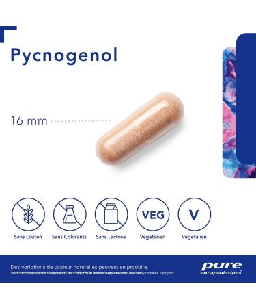 Pure Encapsulations - Pycnogenol - Natural Titled Maritime Pine Extract - Helps Maintain Skin Elasticity & Good Circulation - 60 Vegan Capsules - Buy Online on GoSupps.com