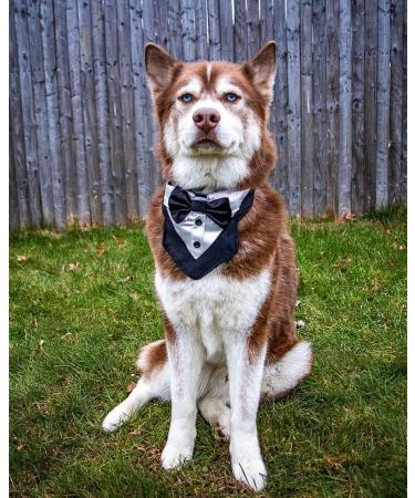 Odi Style Dog Tuxedo for Large Dogs - Wedding Attire with Bow Tie for Dogs - Engagement Gift & Photography Prop - Buy Online on GoSupps.com