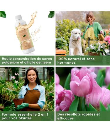 500ml L'huile de neem et savon de potassium Concentr - 100% Naturel Ecologique - Am liore et active les d fenses naturelles des plantes d'int rieur et d'ext rieur - Agit rapidement et efficacement - Buy Online on GoSupps.com
