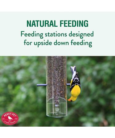 Perky-Pet 399 Thistle Feeder - Patented Upside Down Design - Buy Online on GoSupps.com