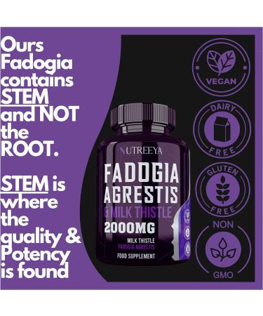 Fadogia Agrestis 2000mg Extract Supplements - 90 Vegan Tablets for Athletic Performance & Muscle - Gluten Free Non-GMO - High Strength Formula (Pack of 1) - Buy Online on GoSupps.com