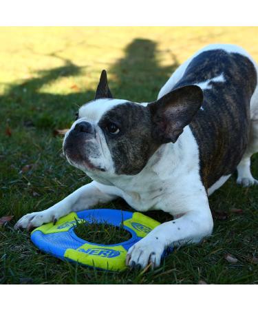 Nerf Dog Toss and Tug Ring Dog Toy Flying Disc Lightweight Durable and Water Resistant 9 Inch Diameter For Medium/Large Breeds Two Pack Green and Orange - Buy Online on GoSupps.com