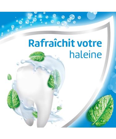  Aquafresh Aquafresh 3 Freshmint Protection Freshmint Toothpaste 75 ml - Buy Online on GoSupps.com