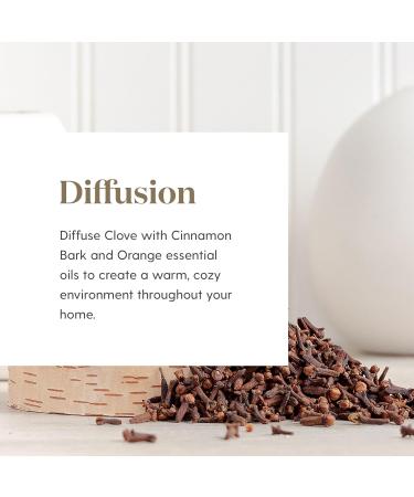 Young Living Clove Essential Oil 15 ml - Cleansing Properties for Thieves Dental Care & Oral Health | Warm Stimulating Aroma - Buy Online on GoSupps.com
