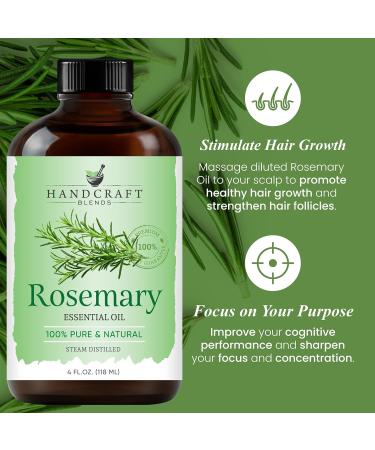 Handcraft Blends Fresh Focus Set: Rosemary and Grapefruit Essential Oils (2 x 4 Fl Oz) 100% Pure & Natural for Diffuser Aromatherapy and DIY Projects - Buy Online on GoSupps.com