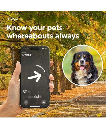 Shop Elago Ribbon Case for Pet Collars - Compatible with Apple Airtag | Cute Taupe Design for Dogs & Cats - Buy Online on GoSupps.com