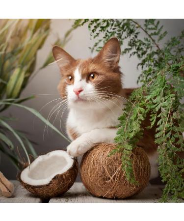 Trade Teamwork Zeckerli Drops for Cats - 78g & 180g | Premium Cat Treats for International Shipping - Buy Online on GoSupps.com