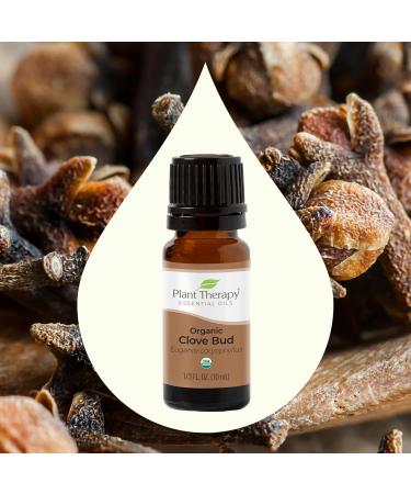 Buy Plant Therapy Organic Clove Bud Essential Oil 100% Pure - USDA Certified Organic Aromatherapy Oil (10 mL - Buy Online on GoSupps.com