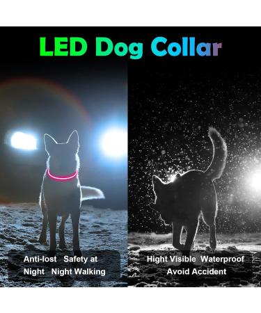Auauy LED Light Neck Band for Dogs & Cats - Waterproof USB Charging Adjustable & Luminous Pet Safety Collar (Pink) - Buy Online on GoSupps.com