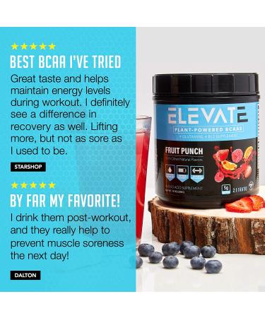 Plant Based Vegan BCAA Powder with B12 and Glutamine | Muscle Building & Recovery Supplement - Elevate Nutrition - Buy Online on GoSupps.com