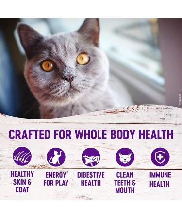 Wellness Complete Health Grain-Free Salmon & Herring Indoor Cat Food - 5.5 lb Bag - Buy Online on GoSupps.com