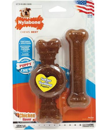 Nylabone Puppy Chew Toy Twin Pack - Medium Chicken Flavor Teething Toys for Puppies - Best Puppy Supplies (2 Count) - Buy Online on GoSupps.com