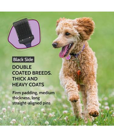 Groomers World - Firm Flexi Slicker Brush - Suitable for Poodle Doodle Bichon Dog Breeds - Small - Buy Online on GoSupps.com