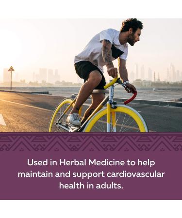 Nature's Way Hawthorn Health Supplement 90 Count - Buy Online on GoSupps.com