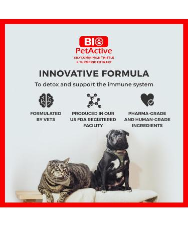 Bio PetActive Liver & Kidney Support Tablets (100 tabs) for Cats & Dogs - With Silycumin, Turmeric & Milk Thistle for Toxin Removal & Liver Regeneration - Easy to Digest - Buy Online on GoSupps.com