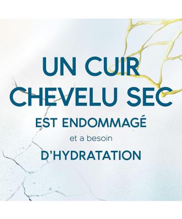 Head & Shoulders DERMAxPRO by Head & Shoulders APAISE Rinse-Off Treatment Cream For Dry Itchy Scalp With Aloe Vera 72H Hydration for Dry Scalp 6x145 ml - Buy Online on GoSupps.com