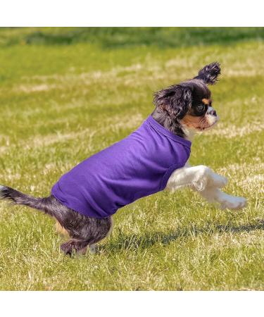 8-Piece Breathable Dog T-Shirt Set for Dogs and Cats - Summer Puppy Clothes Outfit (L) - Buy Online on GoSupps.com