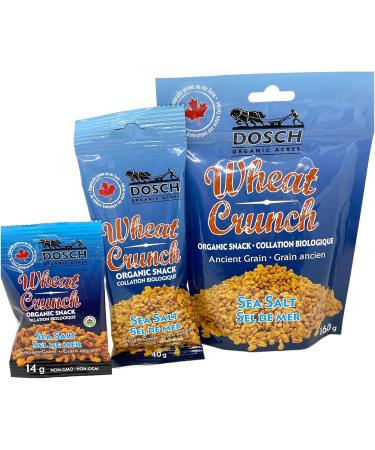 Wheat Crunch (Sea Salt Organic Vegan Nut Free 160g Pkg 12) Salted 160 g (Pack of 12) - Buy Online on GoSupps.com