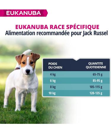 Eukanuba Dog Dry Food Jack Russell Chicken 2kg - Buy Online on GoSupps.com