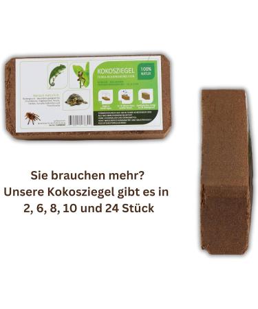 Buy ProFlora Coconut Soil Terrarium Substrate - Biodegradable Peat-Free Coconut Fiber (8 Pieces) for Eco-Friendly Planting - International Shipping Available - Buy Online on GoSupps.com