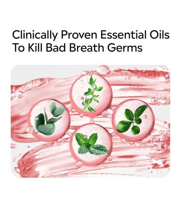 Listerine Clinical Solutions Gum Health Antiseptic Mouthwash Antigingivitis & Antiplaque Oral Rinse Kills Germs for Healthier Gums Reduces Gingivitis in 1 Week ICY Mint Twin Pack 1 L 2 Pack 34 Fl Oz (Pack of 2) - Buy Online on GoSupps.com