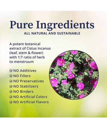 BioPure Cistus Incanus Herbal Extract - Wild Organic Tincture for Immune Support & Gut Health - Antioxidant Rich - 4 fl oz - Buy Online on GoSupps.com