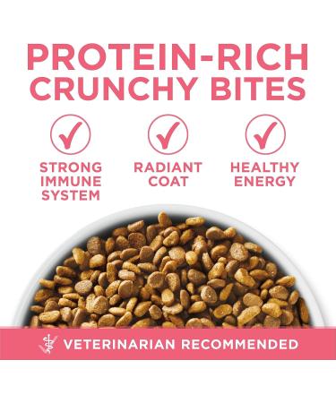 Purina ONE +Plus Dry Kitten Food Chicken - 1.8 kg Bag - Buy Online on GoSupps.com
