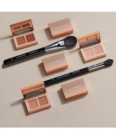 Sigma Beauty F67 Skin Perfector Makeup Brush - Ultra Soft Paddle Brush for Foundation or Concealer - Apply Blend & Set Cream or Powder Products - Vegan Hypoallergenic Synthetic Makeup Brush - Buy Online on GoSupps.com