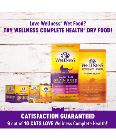 Wellness Grain-Free Wet Cat Food, Tuna & Shrimp Shreds, 24-Pack, 3oz Pouches - Healthy Indulgence - Buy Online on GoSupps.com