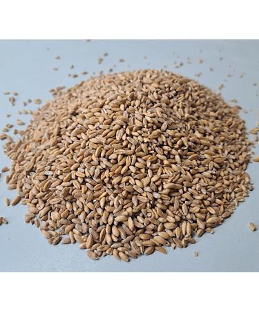 Premium Mills Emmer Grains 1000g - Fresh Whole Grain Emmer Kernels | R tze Mill Quality - Buy Online on GoSupps.com