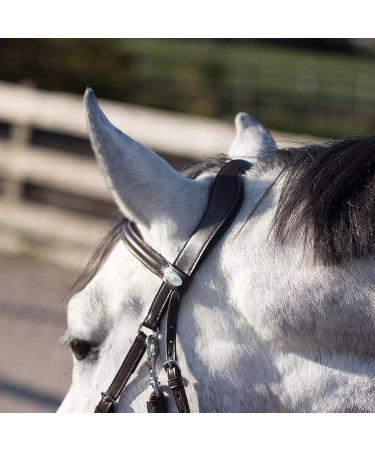 Buy QHP Bitless Bridle Sunna - Size COB for Thoroughbred in Black | International Shipping Available - Buy Online on GoSupps.com