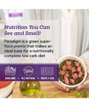 Dr. Harvey's Paradigm Green Superfood Dog Food 6 lb - Grain-Free, Human Grade Base Mix for Diabetic Keto Diet - Buy Online on GoSupps.com